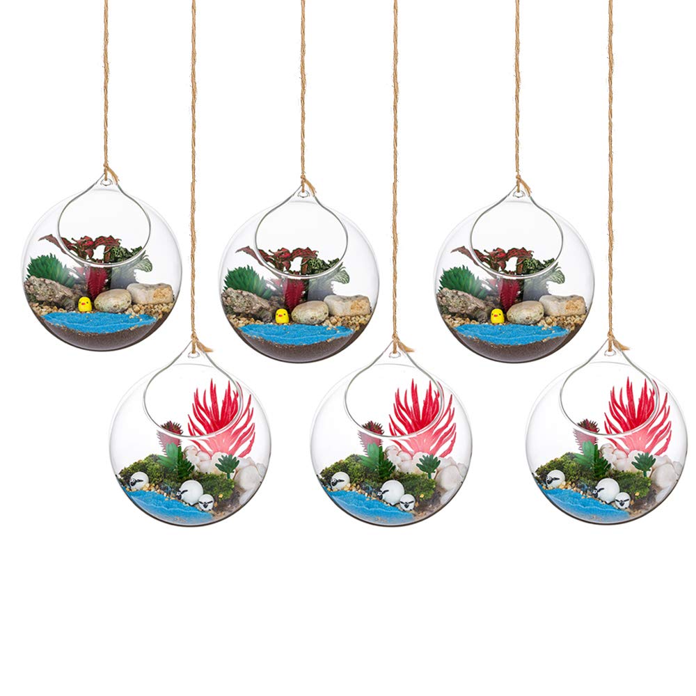 Glasseam Hängende Glaskugel Vase Glaskugel 6 Pcs Grosse Öffnung Sukkulenten Aufhängen Terrarium Glas