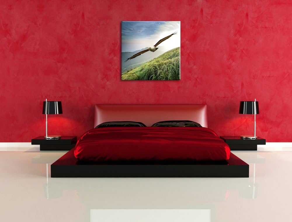 Pixxprint Majestätischer Weisskopfseeadler als Leinwandbild/Grösse: 70x70 cm/Wandbild/Kunstdruck/fer