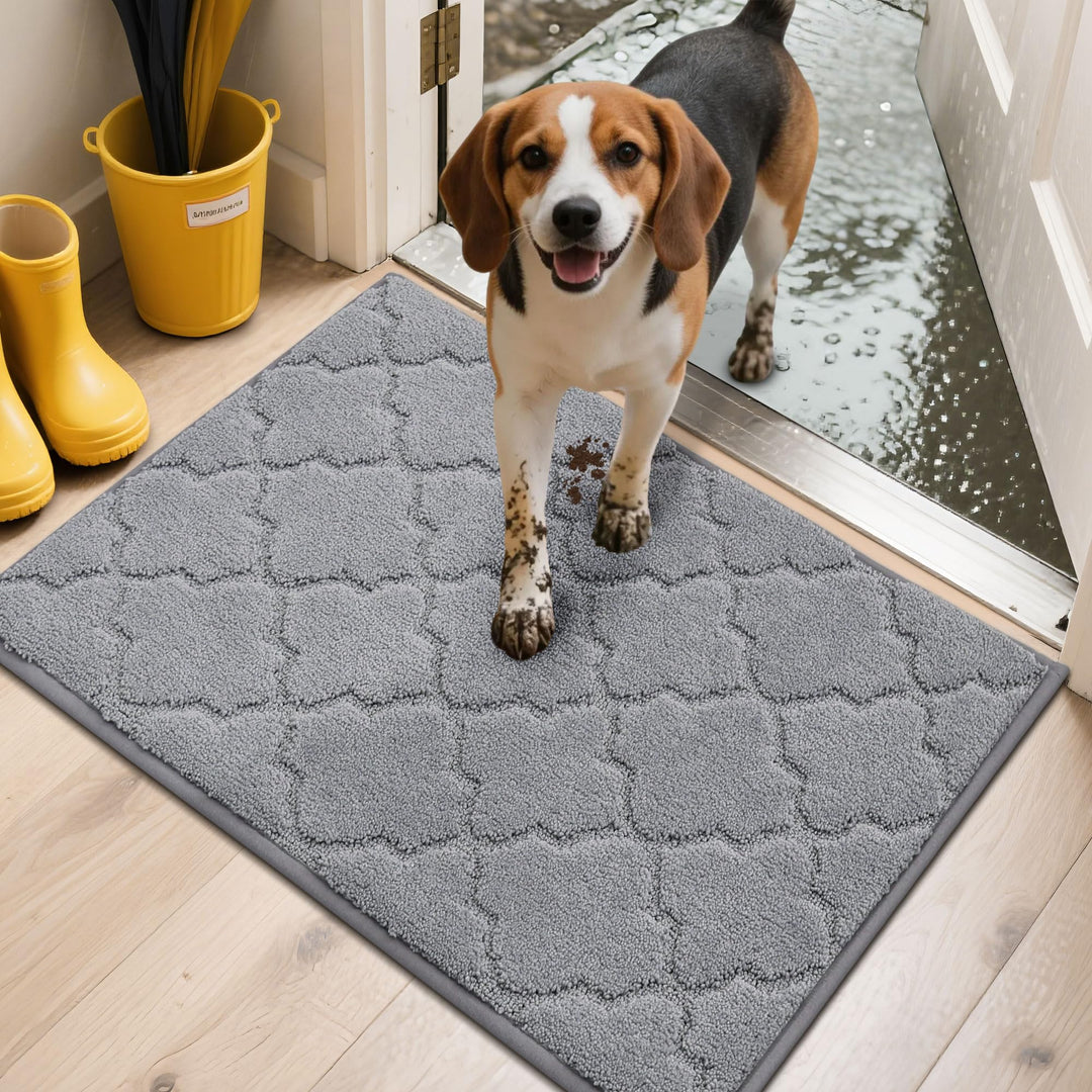 COSY HOMEER Fussmatte Innen 50 x 80 cm, Schmutzfangmatte Waschbar 1,5 cm Dicke, Eingangsteppich Saub