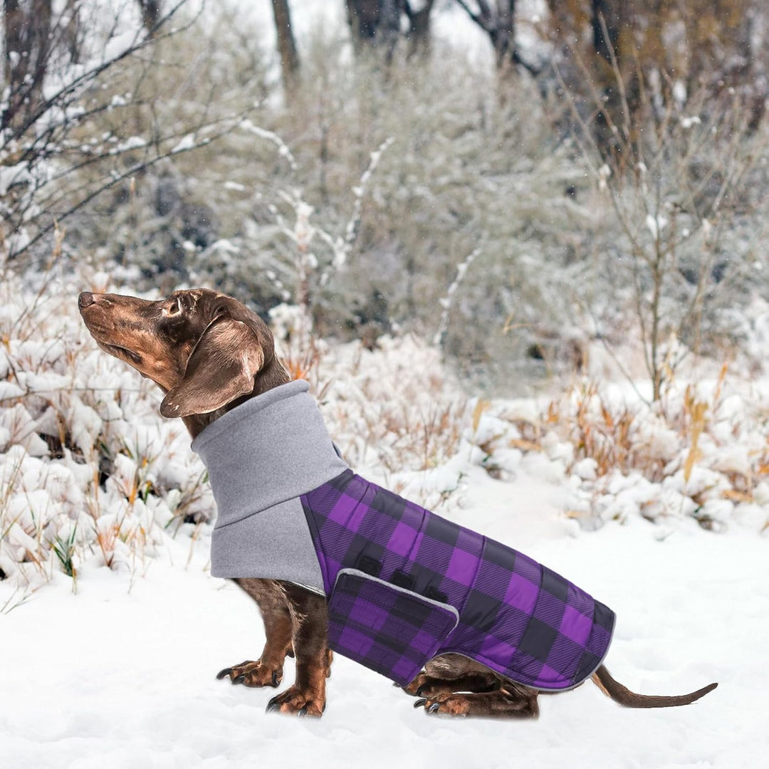 Geyecete Dackel Mantel Winter, Warmer Hunde wintermantel,wasserdichter Hundemantel mit Leinenloch,Hu