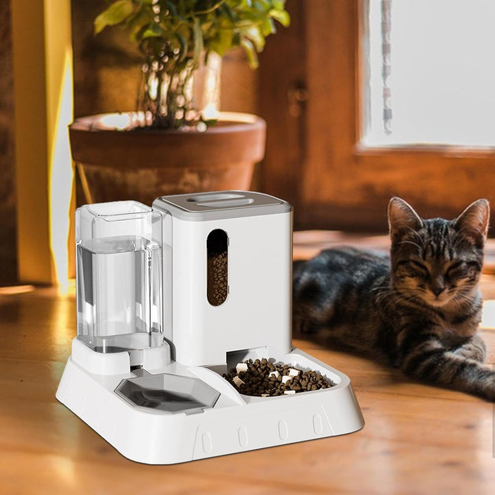 Futter- Und Wasserspender Für Katzen, Automatischer Futterautomaten Für Katzen & Kleine Hunde, 2 In