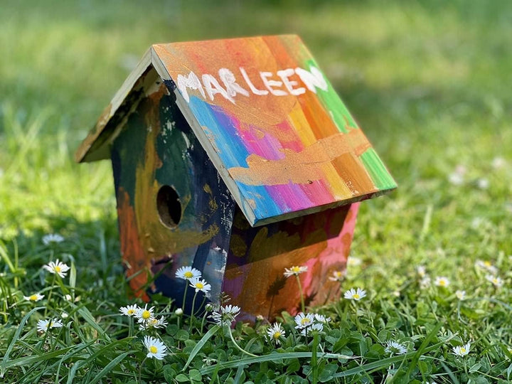 moses. Krabbelkäfer Vogelhäuschen, Holz-Vogelhaus zum DIY bemalen, Aus Kiefernholz mit Acrylfarben u