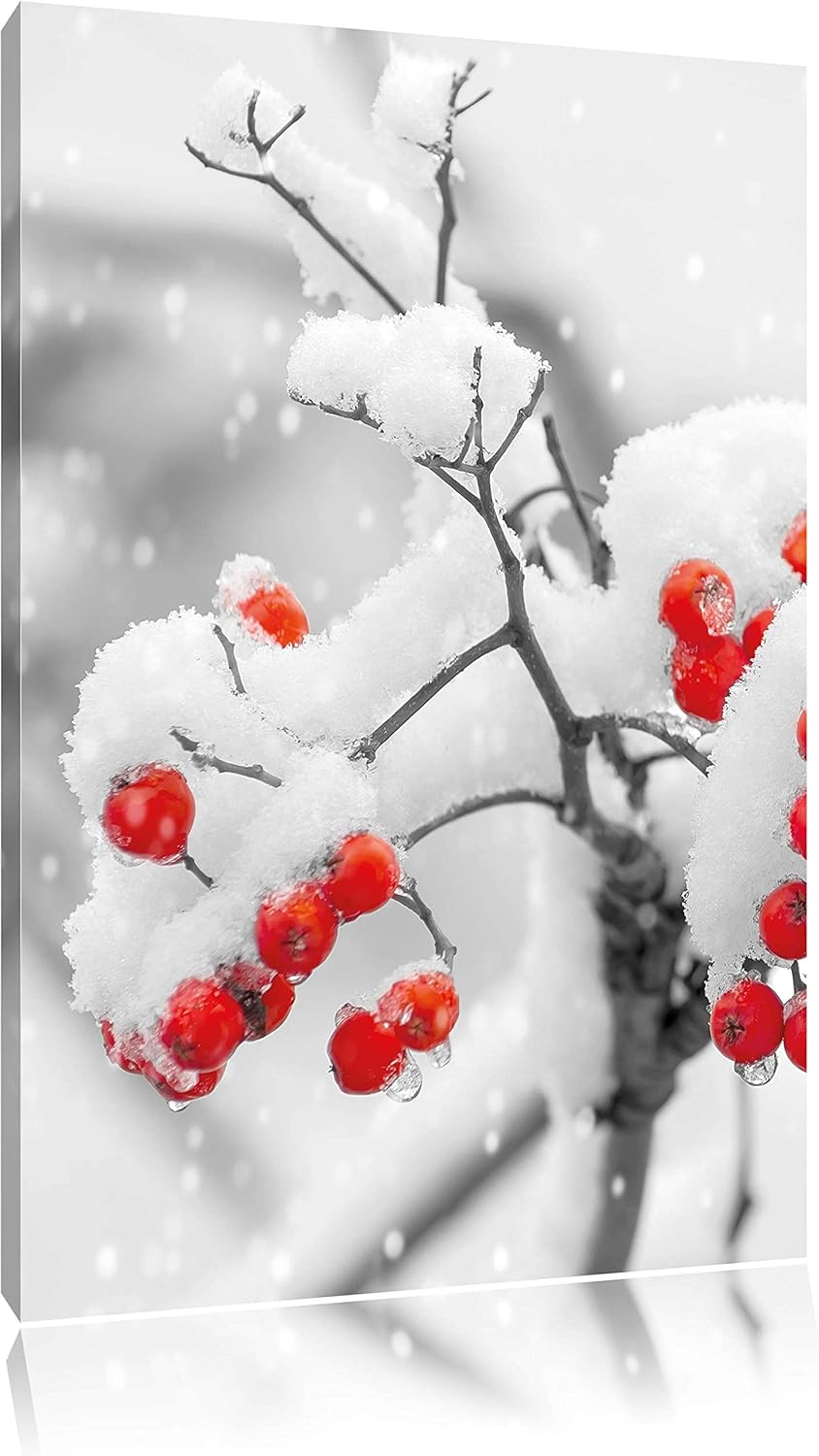 Pixxprint Rote Vogelbeeren im Winter als Leinwandbild/Grösse: 100x70 cm/Wandbild/Kunstdruck/fertig b