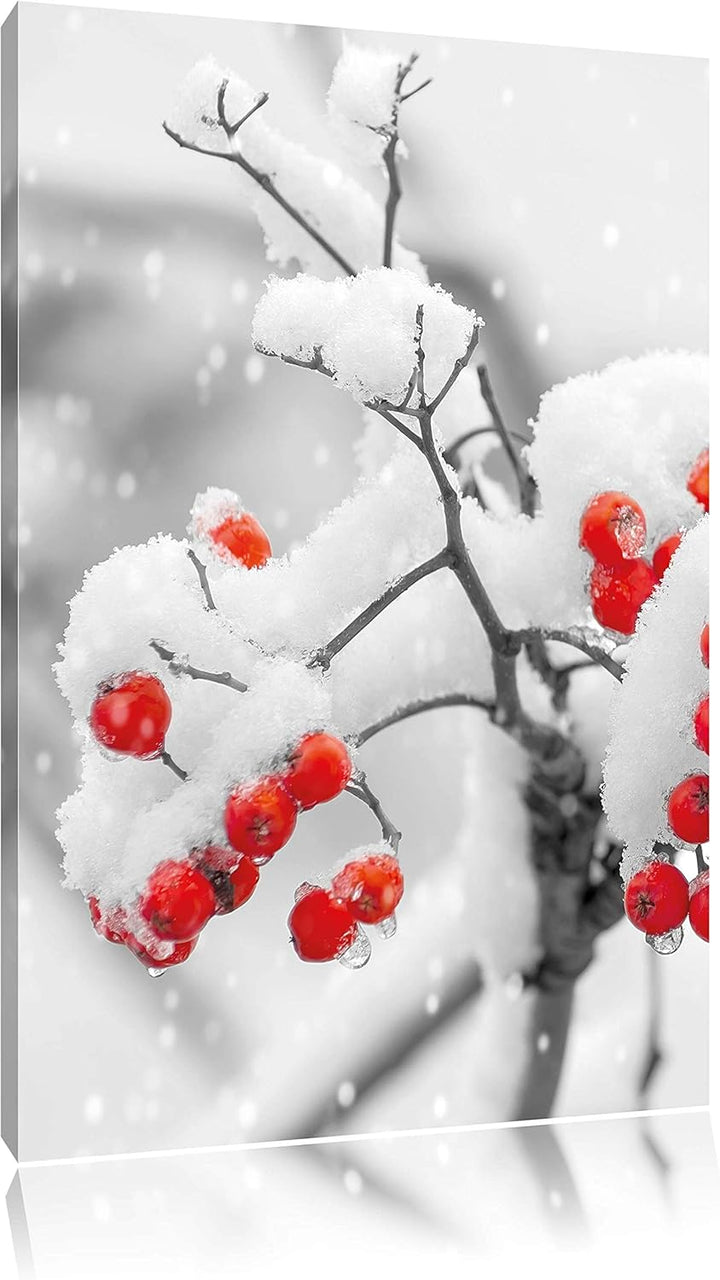Pixxprint Rote Vogelbeeren im Winter als Leinwandbild/Grösse: 100x70 cm/Wandbild/Kunstdruck/fertig b