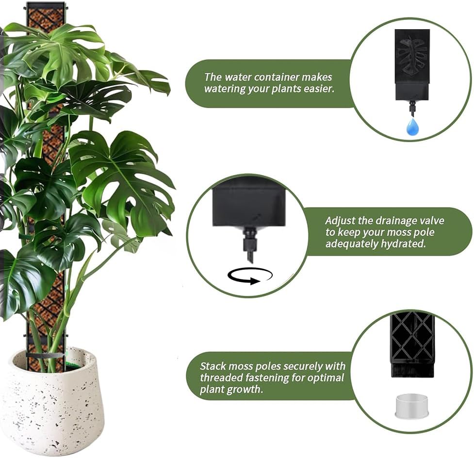 6pcs Moosstab für Monstera Rankhilfe, Selbstbewässerung Moosstab,mit Giesshilfe und Kabelbinder, Pfl