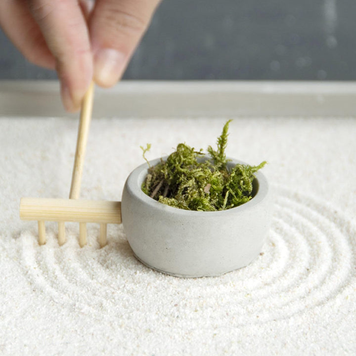 Japanisches Zen-Gartenset