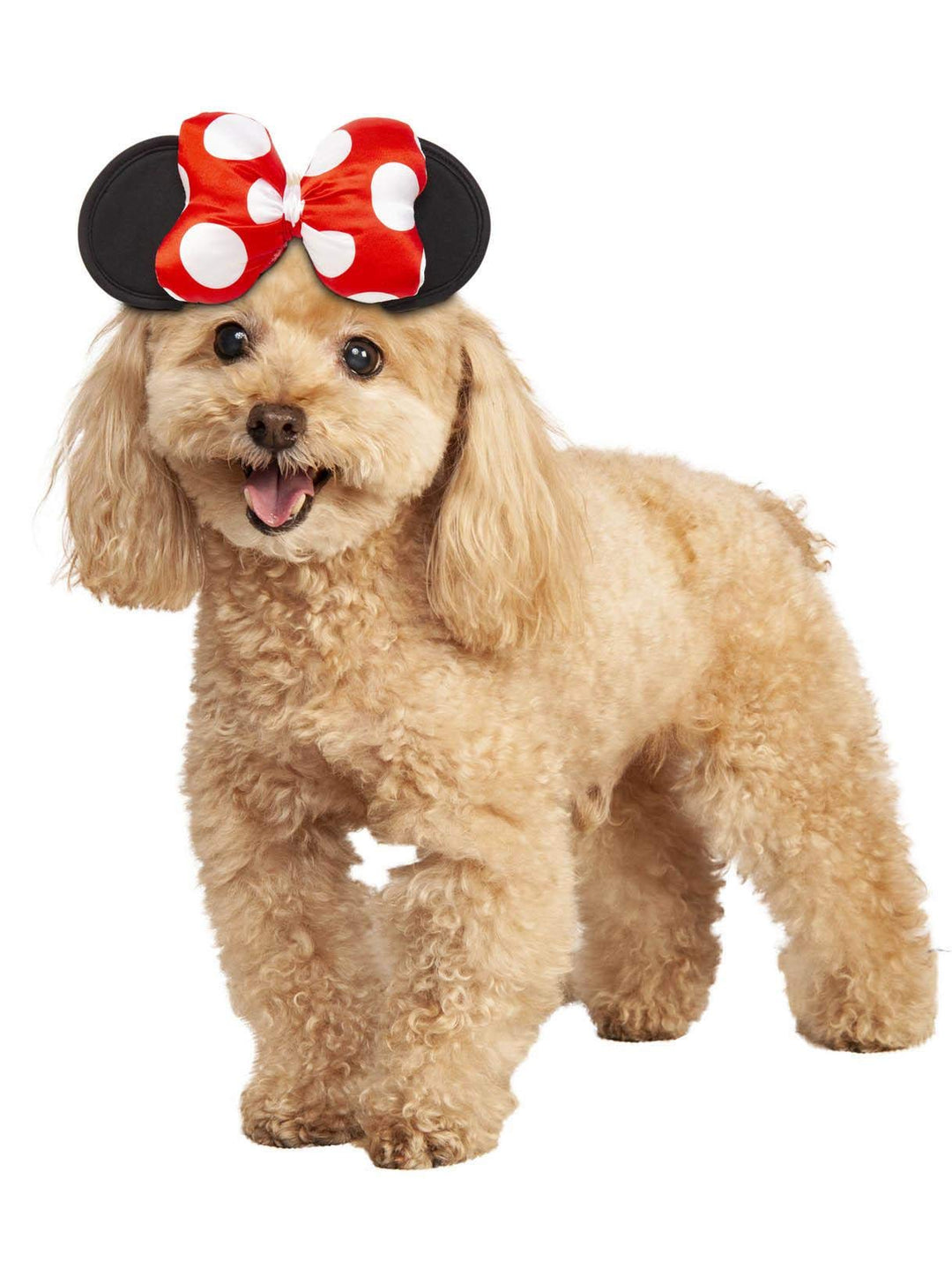Minnie Mouse Haustierkostüm, Minnie Maus, Small/Medium Small / Medium minnie maus, Small / Medium mi