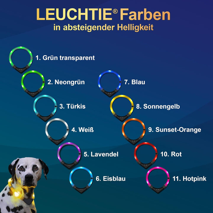 LEUCHTIE® Leuchthalsband Easy Charge Sunset orange Grösse 55 I USB aufladbar I LED Halsband für Hund