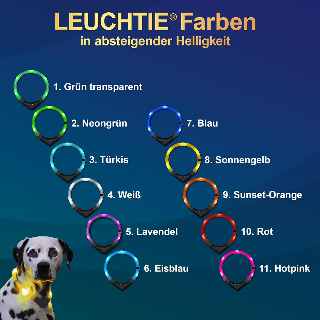 LEUCHTIE® Leuchthalsband Easy Charge blau Grösse 35 I USB aufladbar I LED Halsband für Hunde I konst