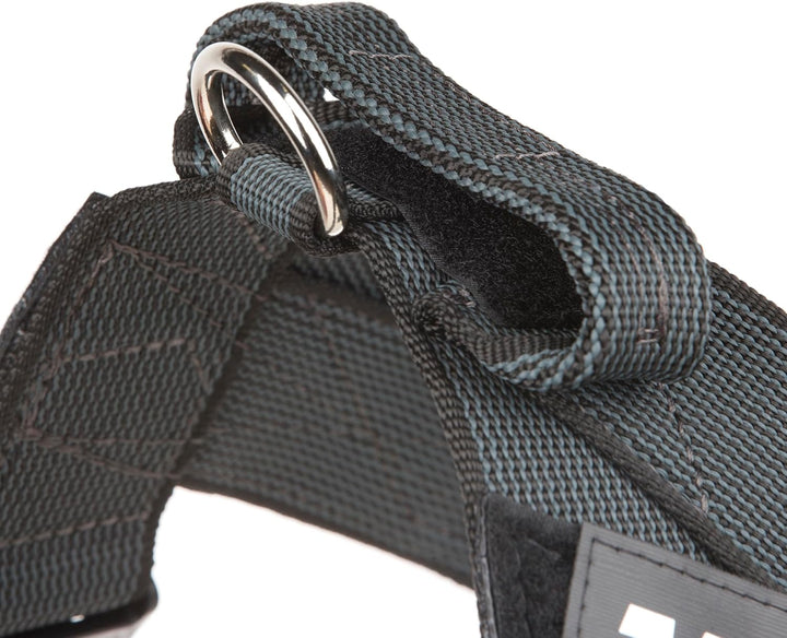 Julius-K9, Color & Gray, Beltgeschirr XL / 2 schwarz-grau, XL / 2 schwarz-grau