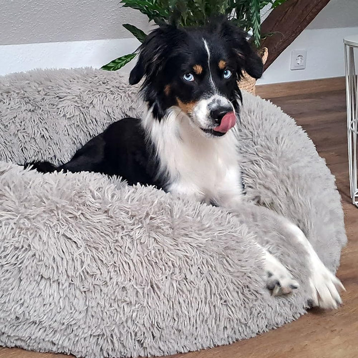 Nobby 62802 Kuschelbett Donut Classic ESLA dunkelgrau; D x H: Ø 90 x 29 cm