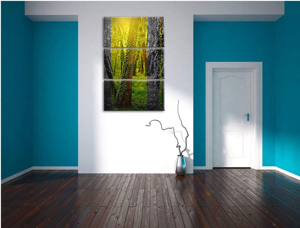 Efeuranken wachsen an Bäumen schwarz/weiss 3-Teiler Leinwandbild 120x80 Bild auf Leinwand, XXL riesi