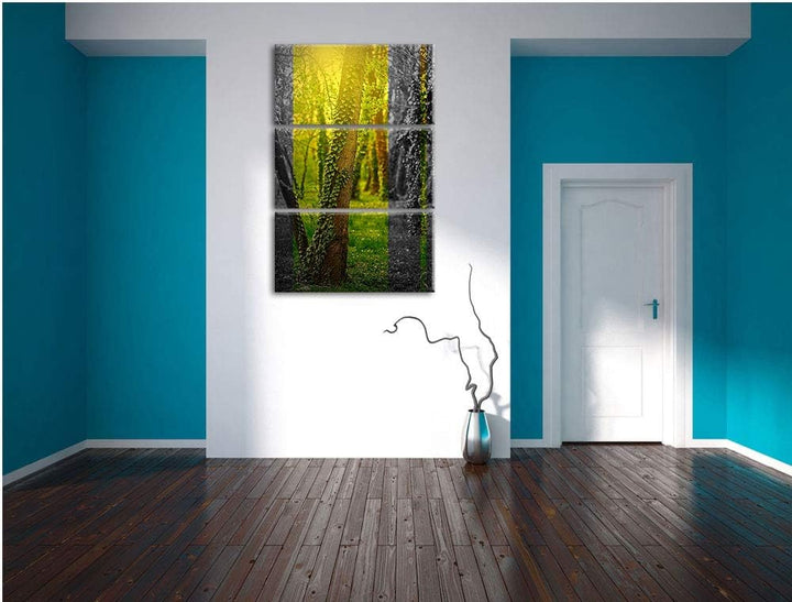 Efeuranken wachsen an Bäumen schwarz/weiss 3-Teiler Leinwandbild 120x80 Bild auf Leinwand, XXL riesi