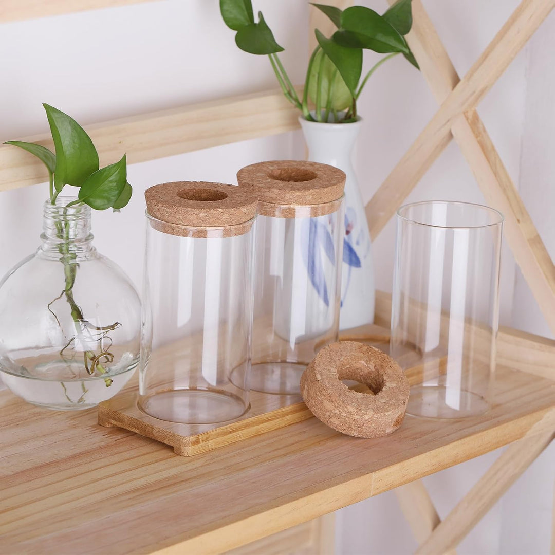 Fentar Ableger Pflanzen Glas, Propagation Station mit Holzsockel und Stecker, 3Stk Kleine Vasen für
