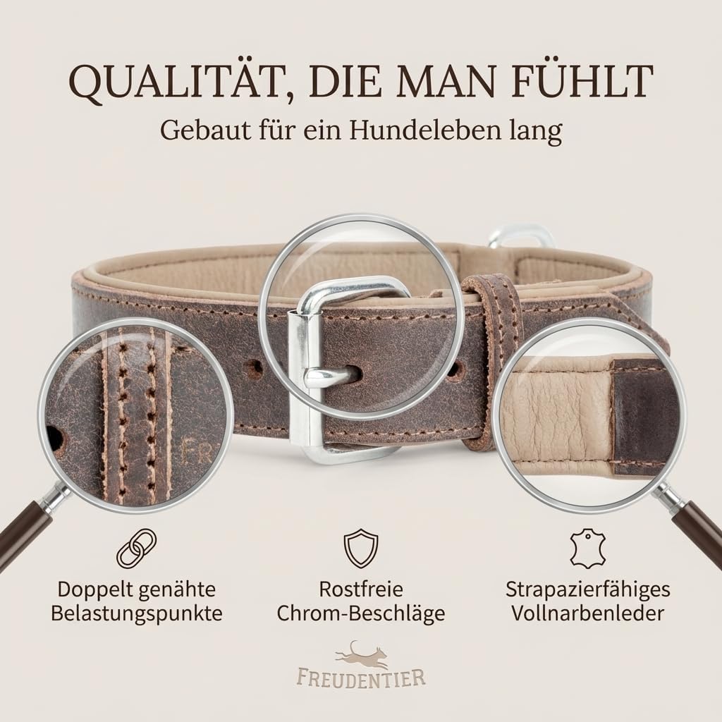 FREUDENTIER Hundehalsband aus Leder, Made in Holland, gefüttert & super komfortabel, hochwertiges br