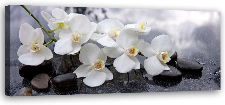 Feeby Wanddeko Orchideen Leinwandbild Kunstdruck Steine Grau 120x40 cm Leinwandbild 120x40 cm Grau_a