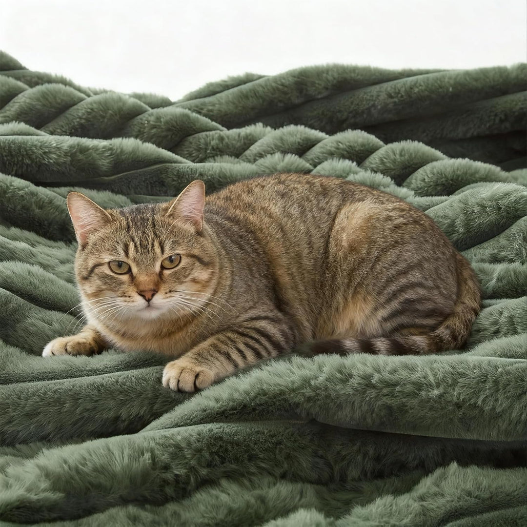 Tofinel Dicke Kuscheldecke Decke Flauschig 150x200 cm - Kleine Sherpa Decken Olivingrün & Sofadecke