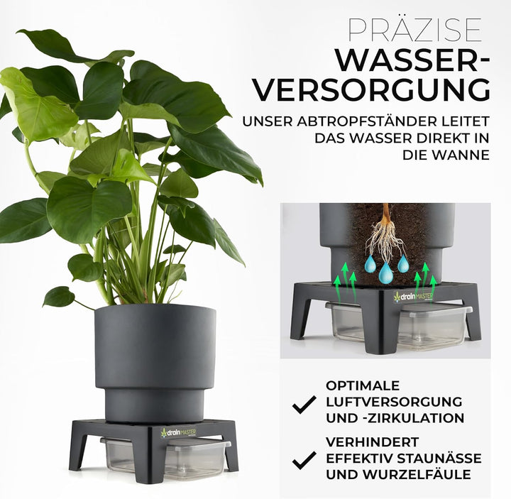 Blumentopf Untersetzer 24x24cm - 6er Set inkl. Ablaufwannen - Pflanzuntersetzer eckig Blumen Pflanze