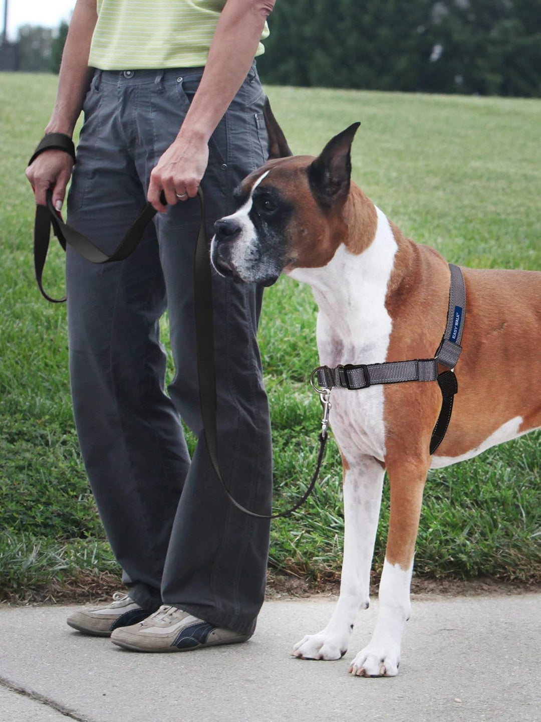 PetSafe Deluxe Easy Walk Hundegeschirr Stahlgrau / Schwarz Medium, Stahlgrau / Schwarz Medium