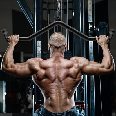 Kipika Latzugstangen Kabelmaschinenbefestigung, Rudern T-Bar V-Stange Set, Rückenkrafttraining, Grif