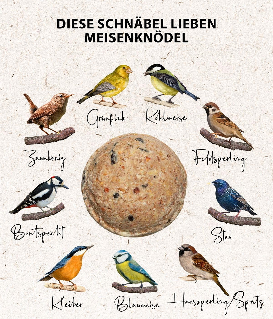 Dehner Natura Premium Meisenknödelring gefüllt, inkl. 10 Meisenknödel ohne Netz, ganzjähriges Wildvo
