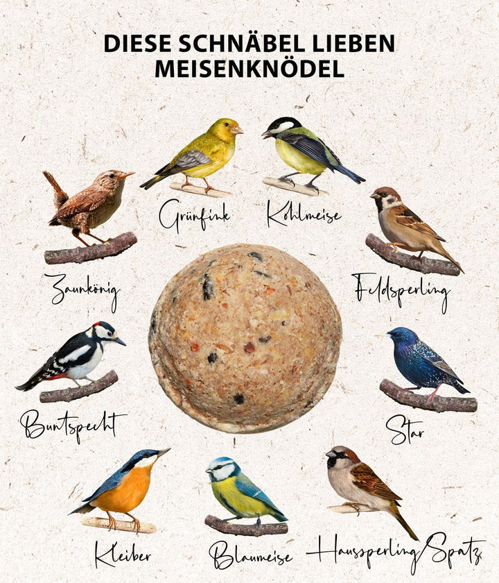Dehner Natura Premium Meisenknödelring gefüllt, inkl. 10 Meisenknödel ohne Netz, ganzjähriges Wildvo