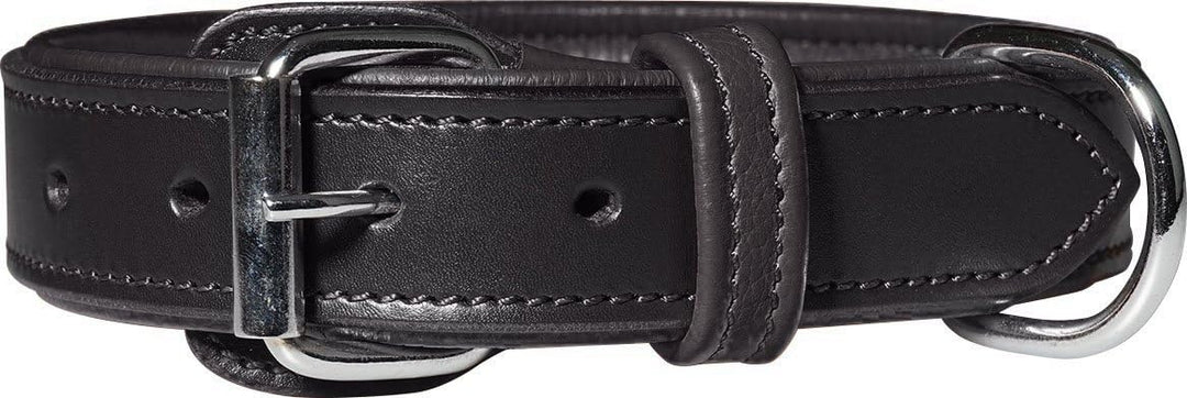 Knuffelwuff 13967-019 Leder Hundehalsband mit Schnallenschutz Detroit, schwarz Schwarz Halsumfang 55