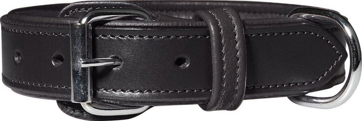 Knuffelwuff 13967-019 Leder Hundehalsband mit Schnallenschutz Detroit, schwarz Schwarz Halsumfang 55