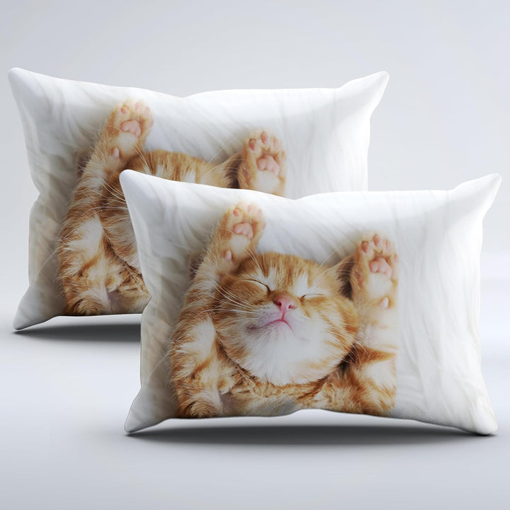 IUNTWEIE Katzen bettwäsche 200x200, 3D Katzen Muster Bettwäsche-Sets mit Reissverschluss, Super Weic