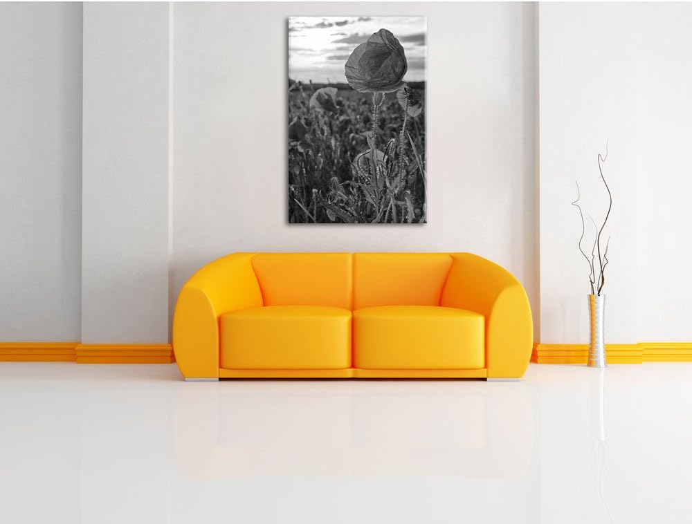 Mohnfeld Kunst B&W, Format: 100x70 auf Leinwand, XXL riesige Bilder fertig gerahmt mit Keilrahmen, K