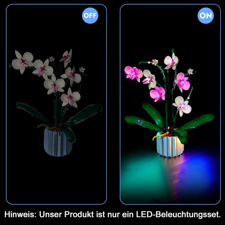 LocoLee Led Licht Set Kompatibel mit LEGO 10311 Orchidee Blumen Botanical Collection (Nur Lichter-Se