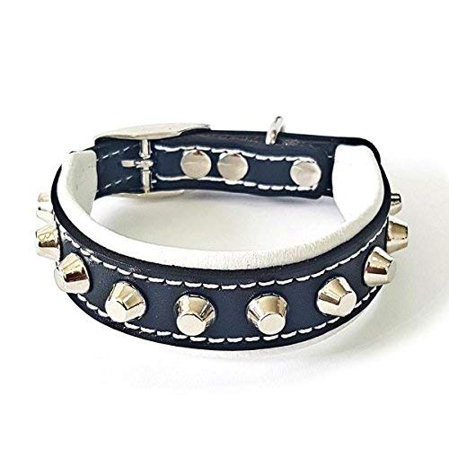 Bestia™ "Rocky Echtleder Hundehalsband mit Stumpfnieten. 100% Leder. Weich gepolstert. TOP Qualität!