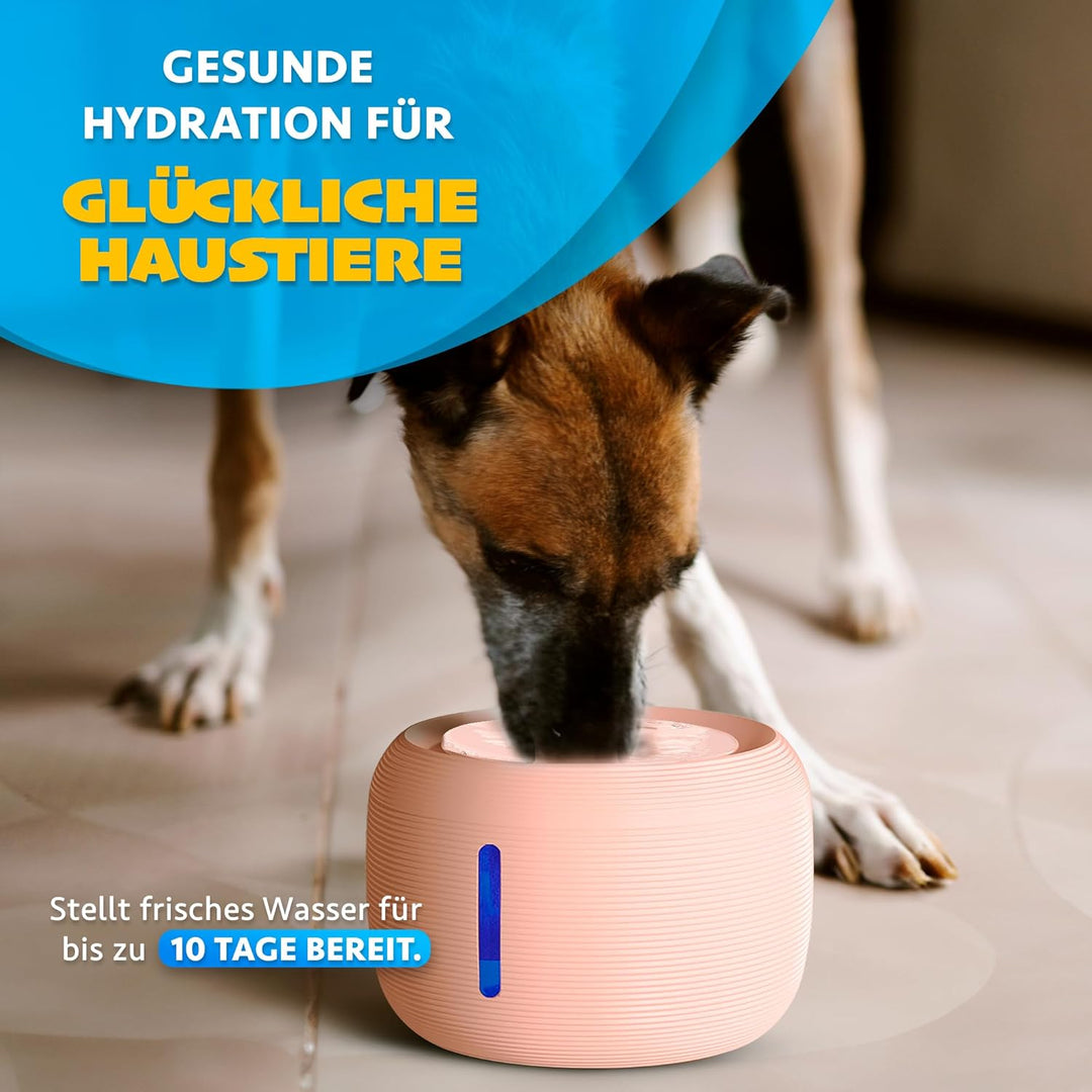 CarePet® Katzen- und Hunde-Trinkbrunnen - 2,5L Automatischer Trinkbrunnen mit Aktivkohlefilter, Ultr