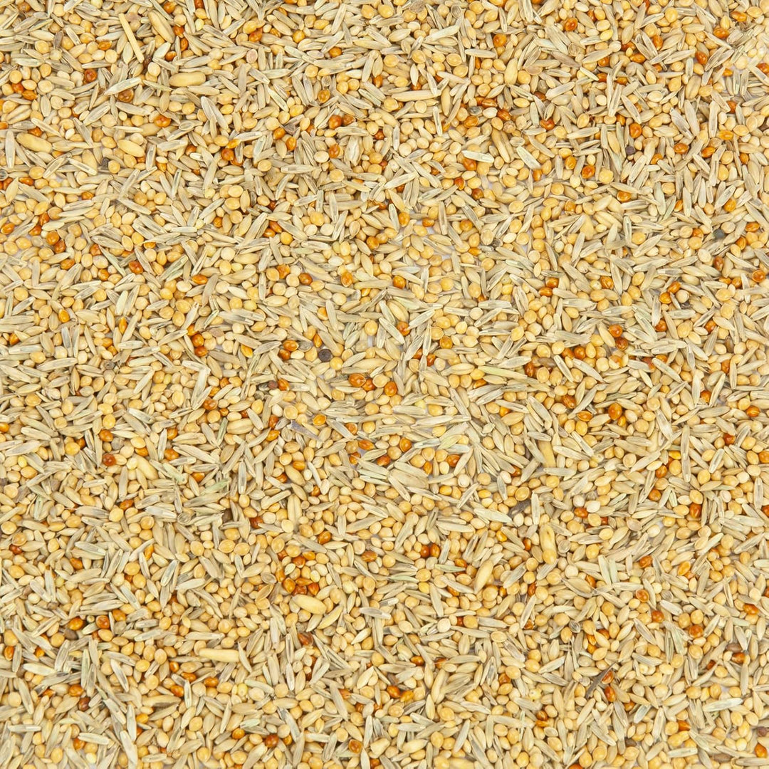 Welli-Fit, Wellensittich-Futter mit Grassamen 10 kg, 10 kg