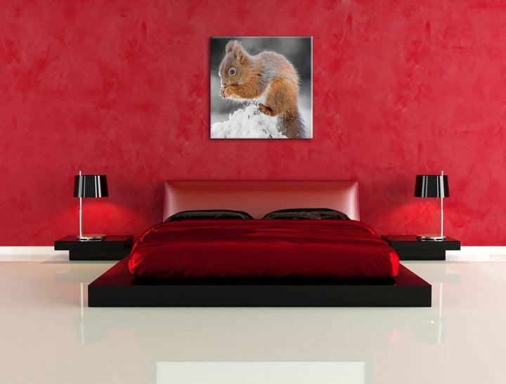Pixxprint Kleines Eichhörnchen im Winter als Leinwandbild Quadratisch/Grösse: 70x70 / Wandbild/Kunst