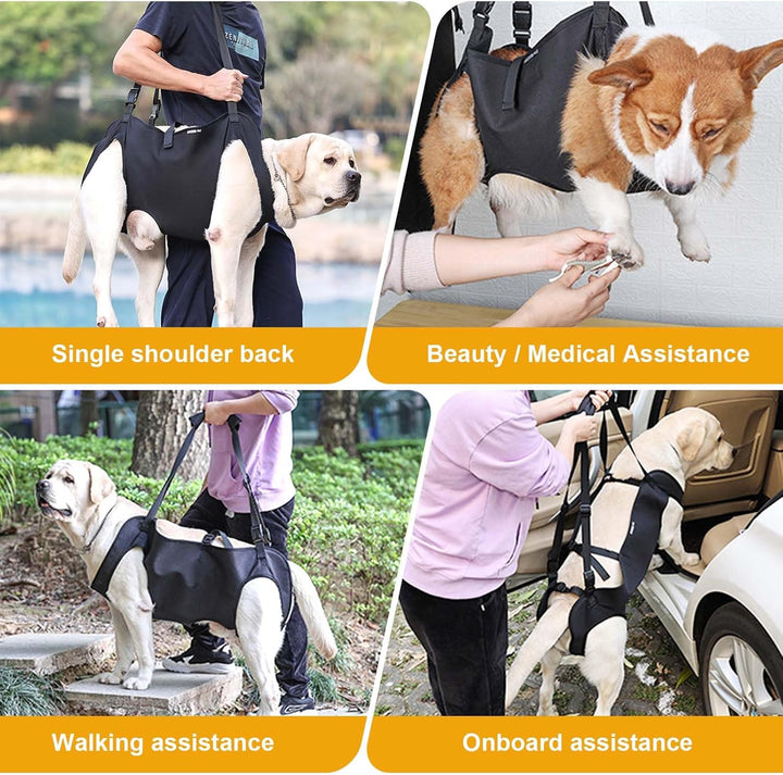 Hundeliftgeschirr, Haustierunterstützung Hund Lift Support für Hunde, Rehabilitation Geschirr Mobili
