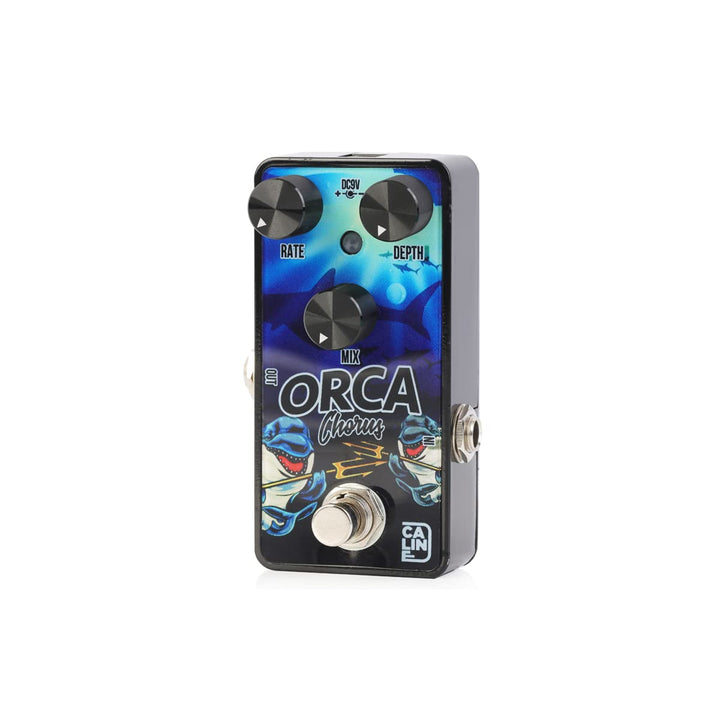 Caline G-003 Orca Chorus