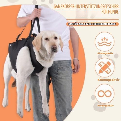 Hunde Tragehilfe, Tragehilfe Hund Treppe Verstellbare Gehhilfe für Hunde, Hundeliftgeschirr für Hint