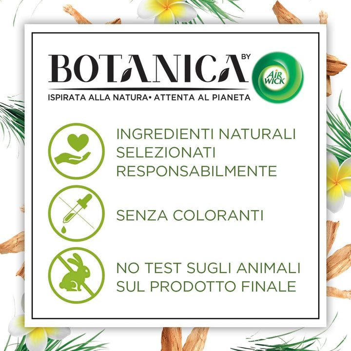 Airwick Botanica Kerze mit Wachs aus natürlichem Ursprung, 6 Duftkerzen à 250 g mit Duft von Sandale