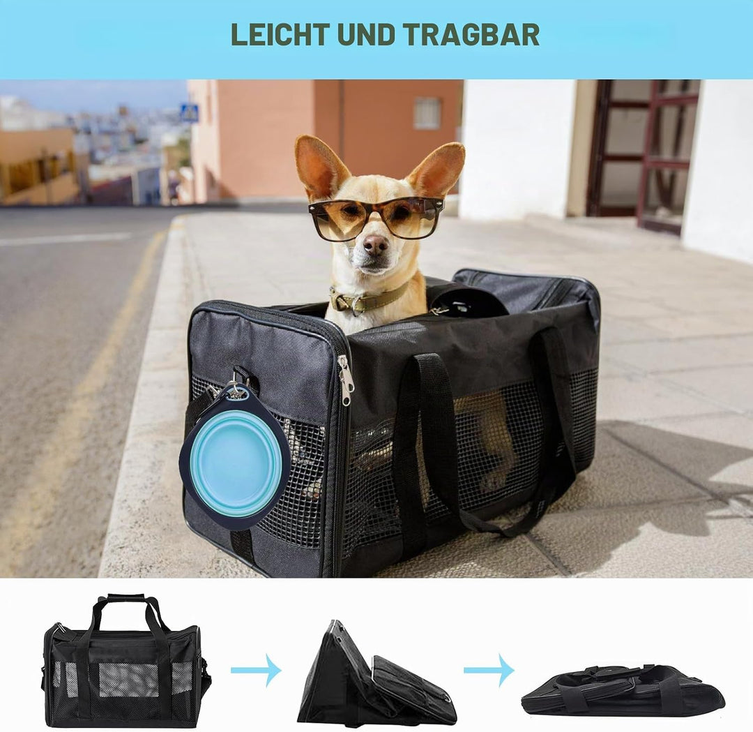 BYZESTY Transportbox Katze Hund Katzentransportbox Hundebox Faltbar Hundetransportbox Katzen Transpo