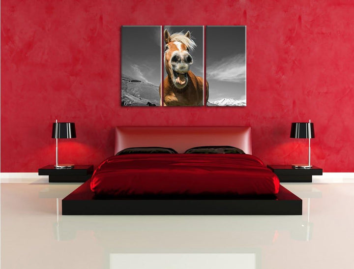 Pixxprint Lustiges Pferd in der Natur B&W Detail 3-Teiler Leinwandbild 120x80 Bild auf Leinwand