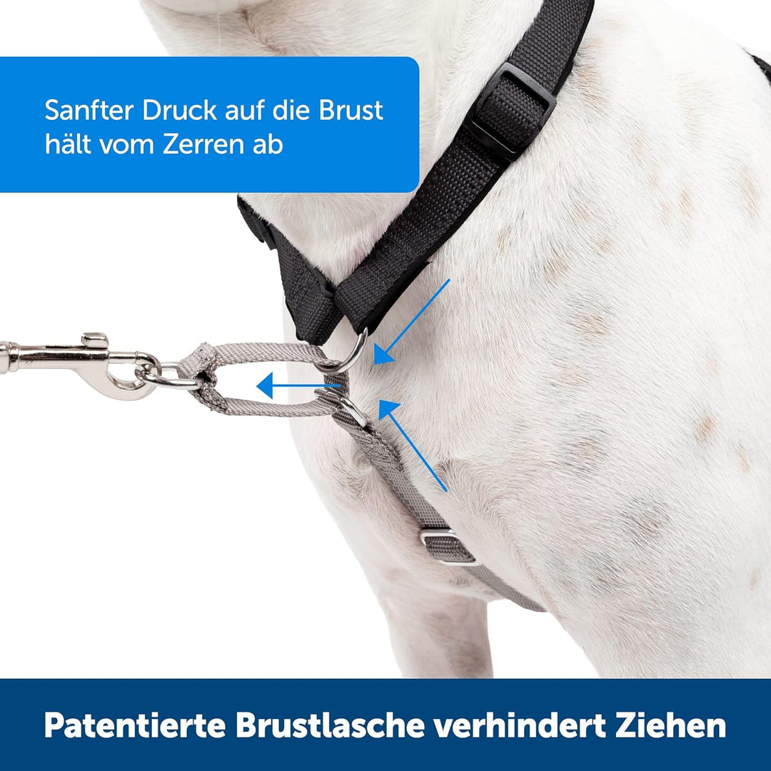 PetSafe 3-in-1 Geschirr, Hundegeschirr mit Rückhaltegurt, Reduziert Ziehen und Druck auf die Kehle,