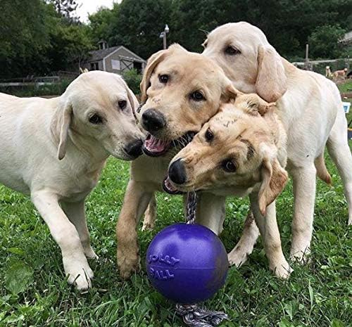 Jolly Pets Romp-N-Roll Ball 6 Inches/Medium Blau/Violett, 6 Inches/Medium Blau/Violett