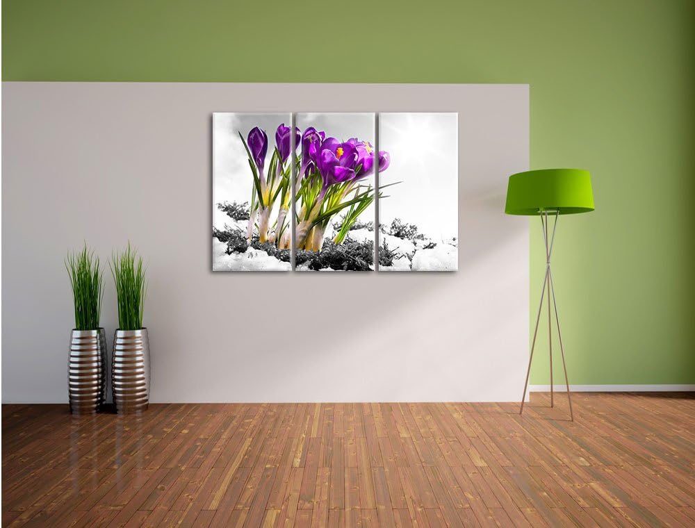 Pixxprint Kunst Frühling florwer Hintergrund als Leinwandbild/Grösse: 3 Teilig (120x80) cm/Wandbild/