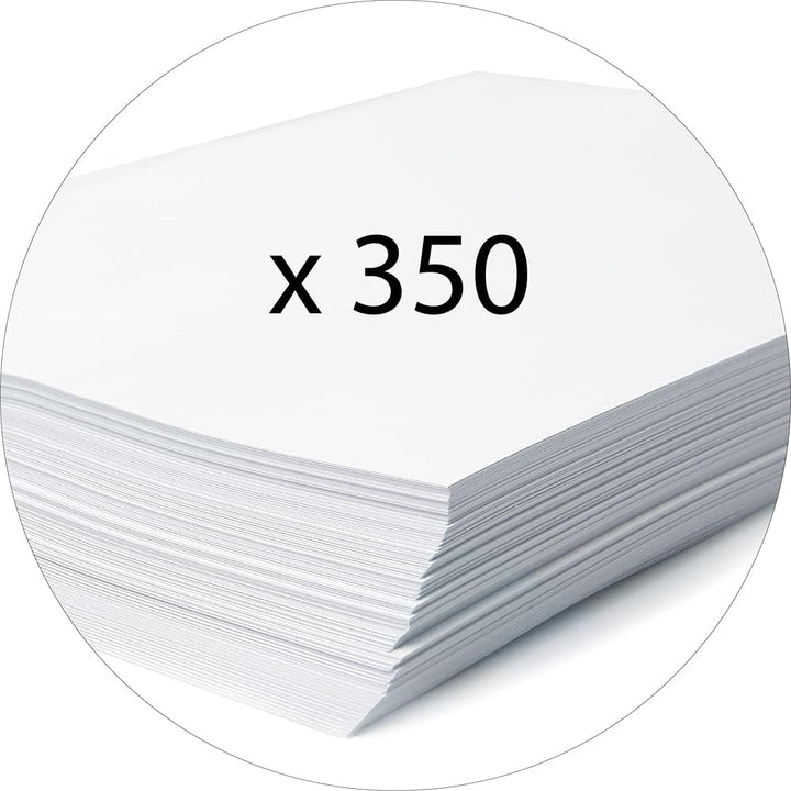 Exacompta 14006H 10er Pack Premium Sammelboxen mit Gummizug 40 mm breit aus extra starkem Colorspan-