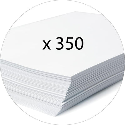 Exacompta 14016H 10er Pack Premium Sammelboxen mit Gummizug 40 mm breit aus extra starkem Colorspan-