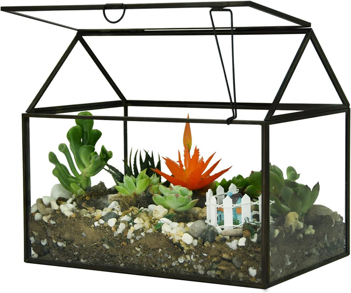 Grosses Glas Pflanze Terrarium - Haus Sukkulenten Glas Terrarium Kit mit Lippe Glas Gewächshaus Terr
