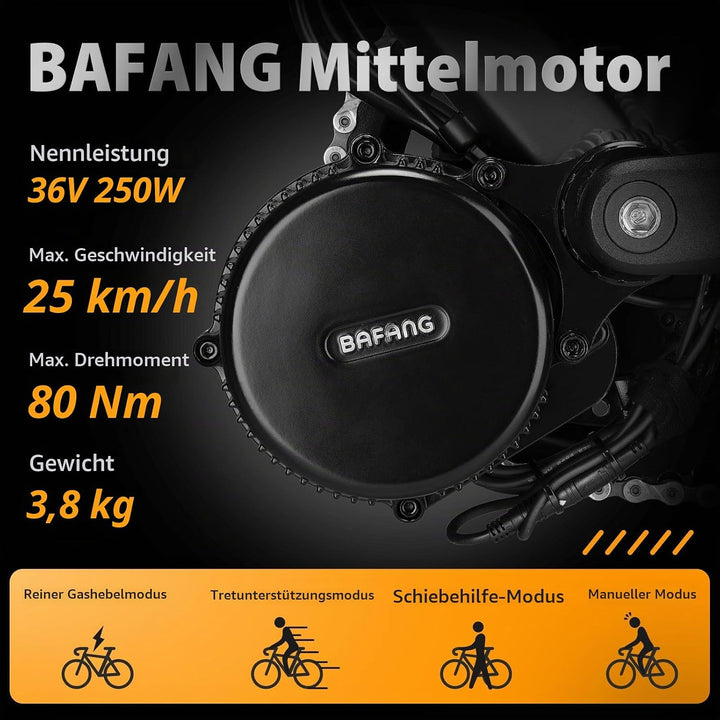 Bafang Mittelmotor 250w 36V mit Akku BBS01B G340 ebike Umbausatz Mit Bafang Display, Batterie (Optio