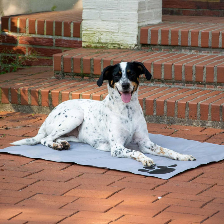 dobar® 60422 Kühlmatte für Hunde - Hundekühlmatte für Hund & Katze - selbstkühlende Matte für Hausti