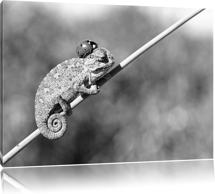 Pixxprint Süsser Gecko mit einem Marienkäfer Kunst B&W, Format: 100x70 auf Leinwand, XXL riesige Bil